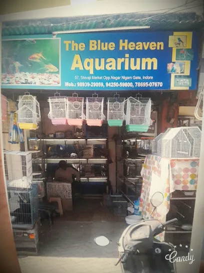 The Blue Heaven Aquarium