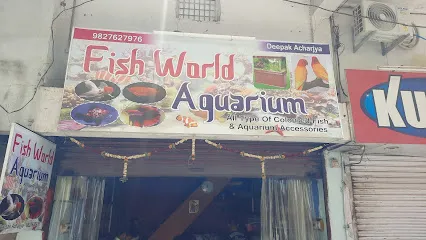 Fish World Aquarium- Fish Aquarium In Jabalpur