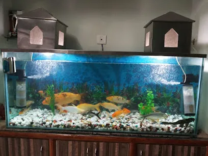 Sea Land Fish Aquarium