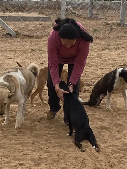 Jaipur Canine Club