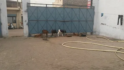 Gaushala Gau Dham