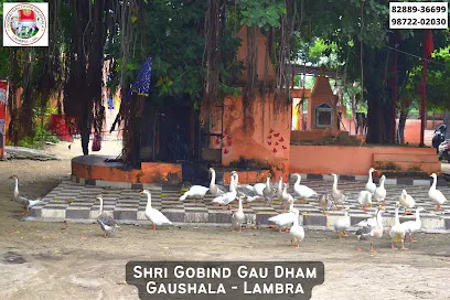 Gobind Gau Dham Gaushala, Lambra