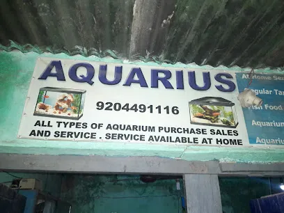 Aquarius