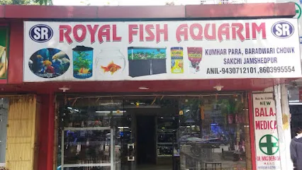 Royal Fish Aquarium