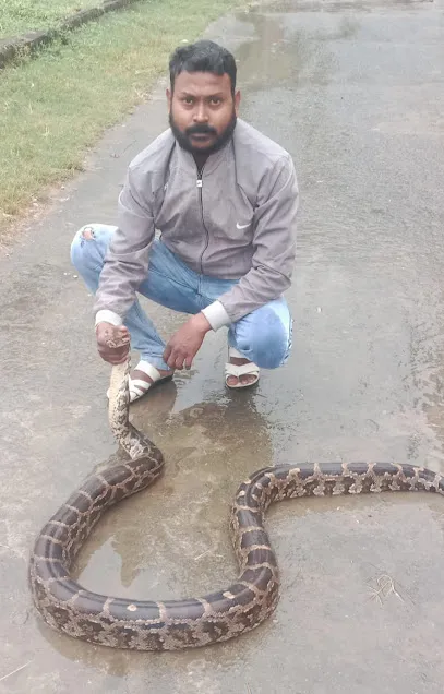 Snake Catcher Team Jamshedpur