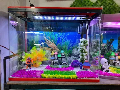 Unique Fish Aquariums