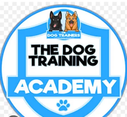 Dog Training School And Dog Care Centre