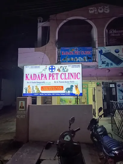 Kadapa Pet Clinic