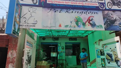 Pet Kingdom