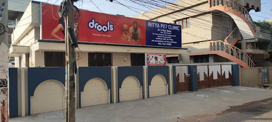 Nitya Pet Clinic And Grooming Spa