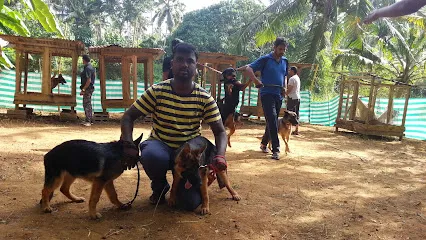 Professional Dog Training Centre