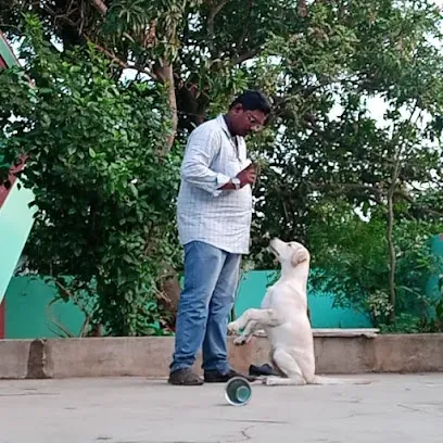 Shanu Dog Training Center