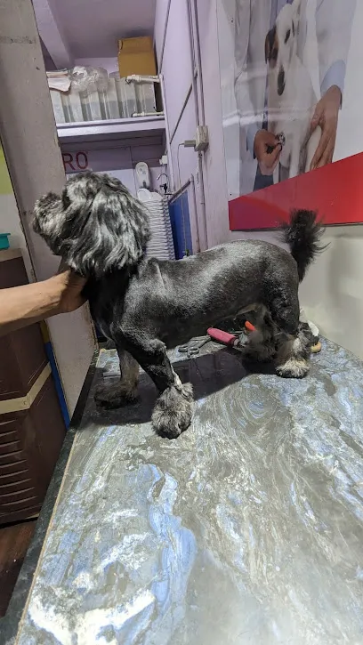 Mickey's Pet's Grooming Parlour