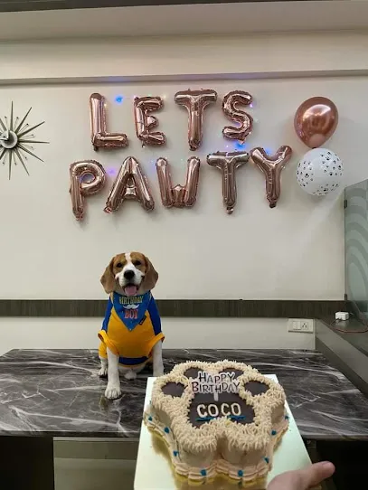 Pawfect Kitchen - A Pet Bakery