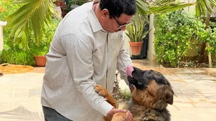 Dharmendra Singh Dog Trainer