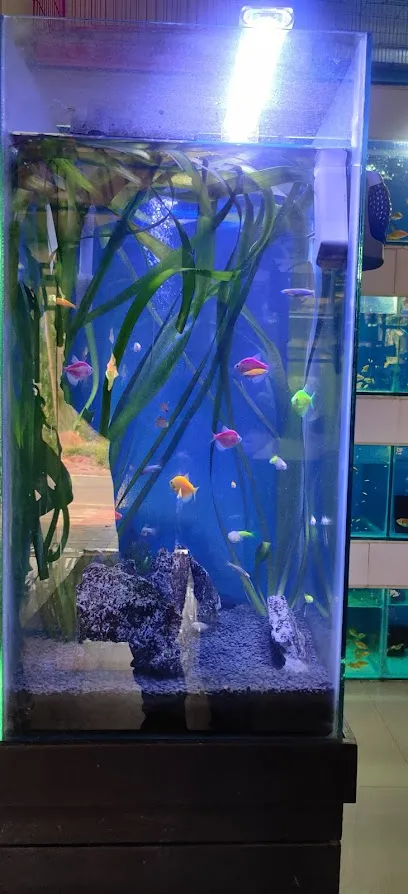 Aquarium & Pet House