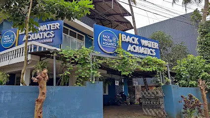 Back Water Aquatics - Aquascaping And Aquarium Shop