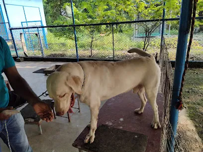 The Cochin Pet Resort