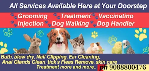 Anup Dog Grooming