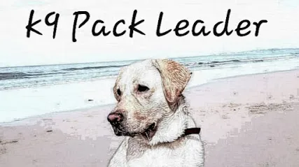 K9 Pack Leader (Dog Behaviourist & Trainer)