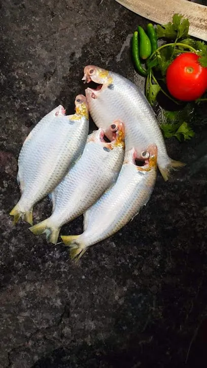 Kolkatafish - Online Fish Store Of Kolkata, Howrah And Hooghly