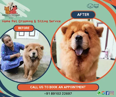 Pawsitive Wellness - Pet Grooming & Sitting Service