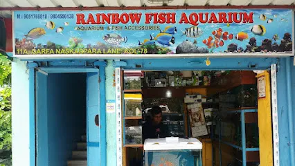 Rainbow Fish Aquarium || Best Aquarium Shop In Kolkata