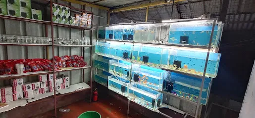 A. M. E Aquarium