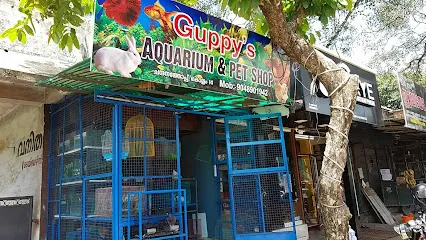 Guppy's