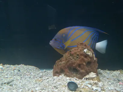 Marine Aquarium Kollam