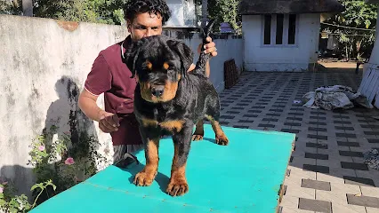 Rdx Rottweiler Kennel