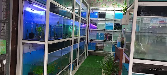 Sealand Aquarium Moottoli