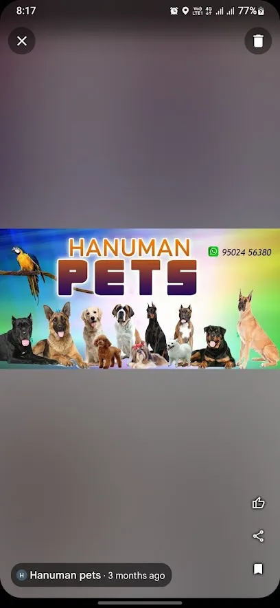 Hanuman Pets