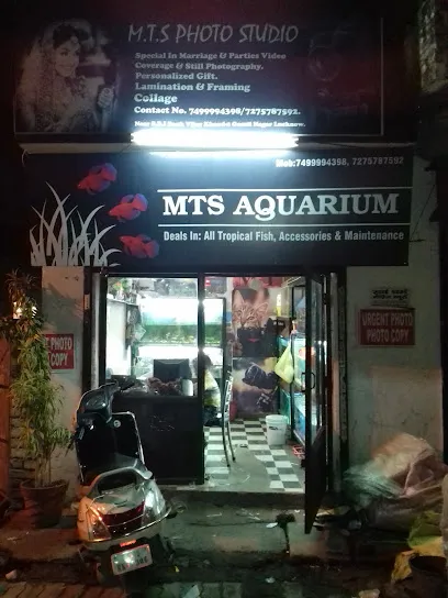 Aquarium Shop And Photo Studio Mts Aquarium Service