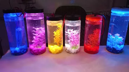 Arise Aquarium