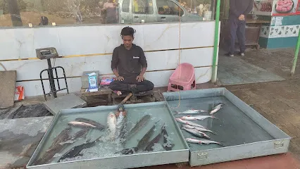 Fish Aquarium Lucknow