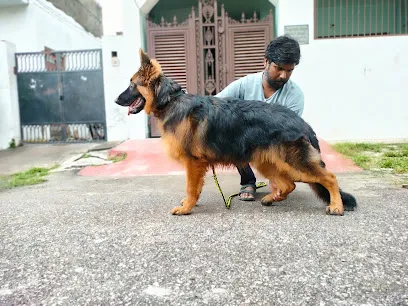 Lucknow Dog Trainer