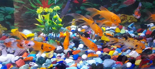 Sahu Fish Aquarium