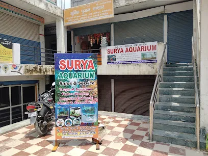 Surya Aquarium 1