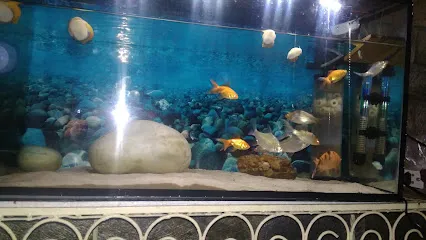 Aquarium