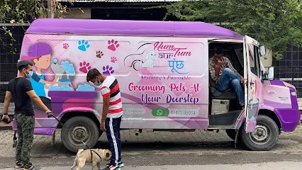 Hum Tum Aur Poonch | Pet Vanity Van