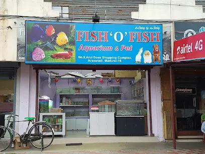 Fish O Fish Aquarium & Pets