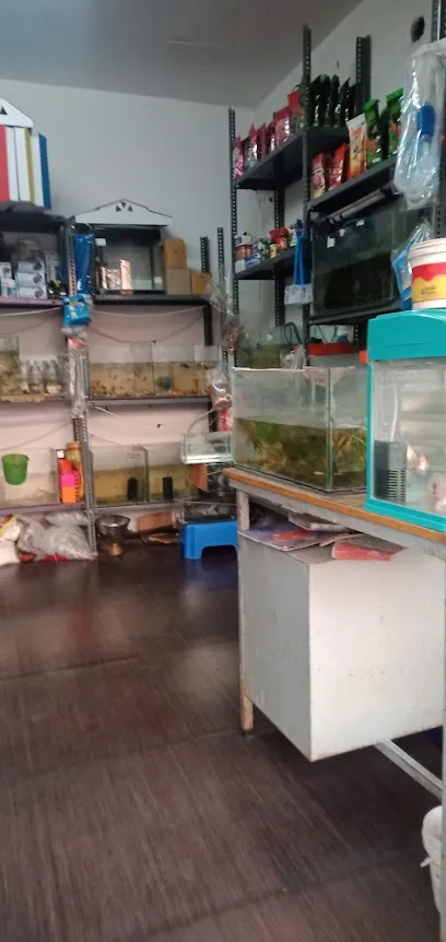 Guru Fish Aquarium And Birds