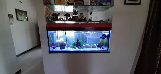 Happy Aquarium