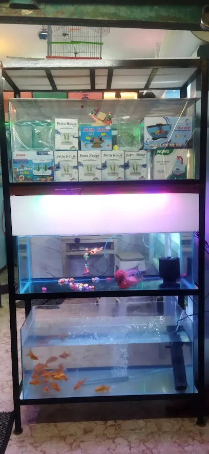 Vrs (Aquarium Shop)