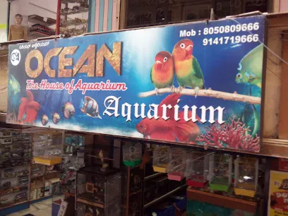 Ocean Aquarium Shop