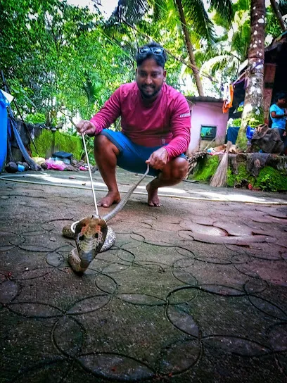 Snake Rescue - Gautham Biggu Mangalore