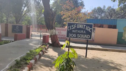 Dog Trainer(Cisf)