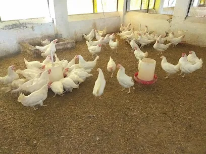 Poultry Farm Of Duvasu