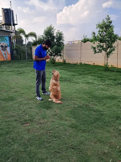 Aditya's Dog Training